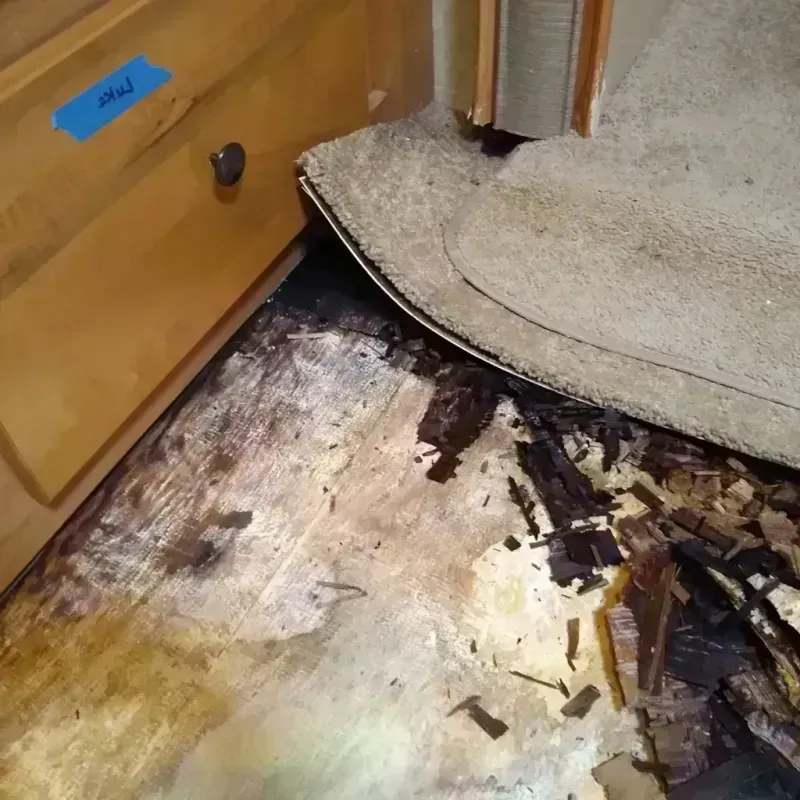 Wood Floor Water Damage in Gage Park, IL